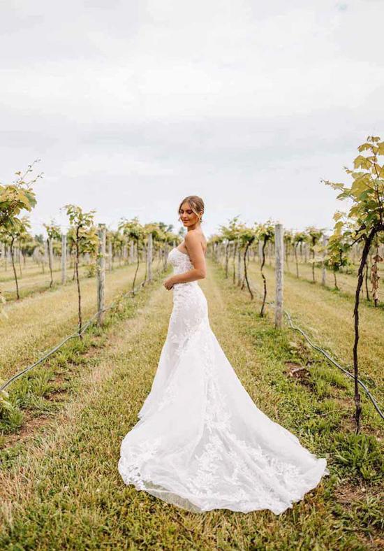 Essense Bridal Collection Style Number D3647 - 5