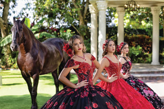 Lizluo Maravilla Style Number 80014 - 11