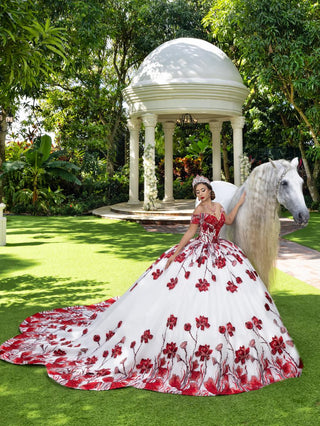 Lizluo Maravilla Style Number 80014 - 3