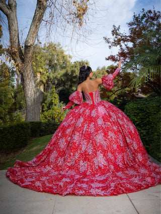 Quinceanera Style Number 26084 - 2