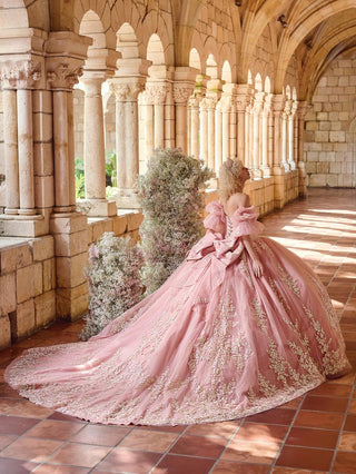 House of Wu - Quinceanera Style Number 26123 - 2