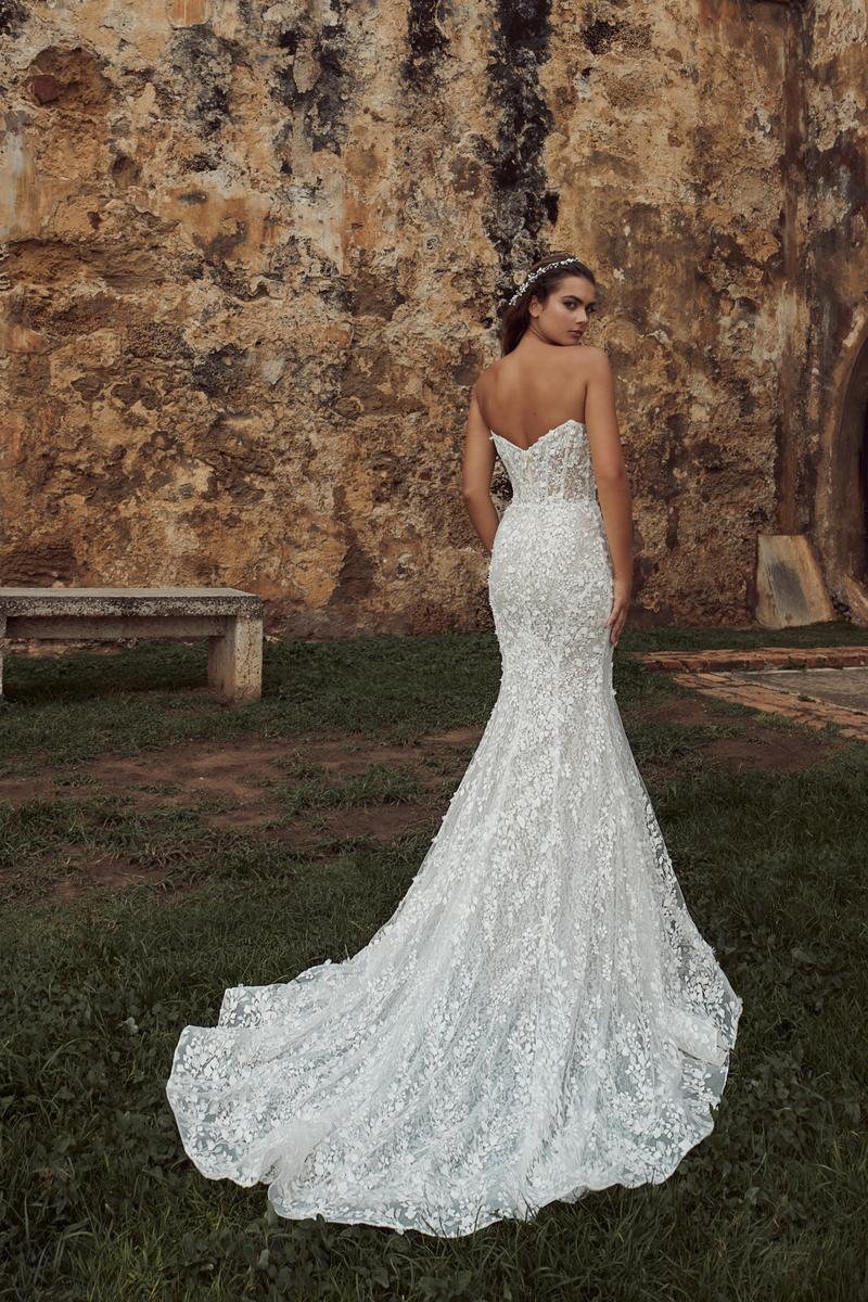 Calla Blanche Style Number 123117 - 6