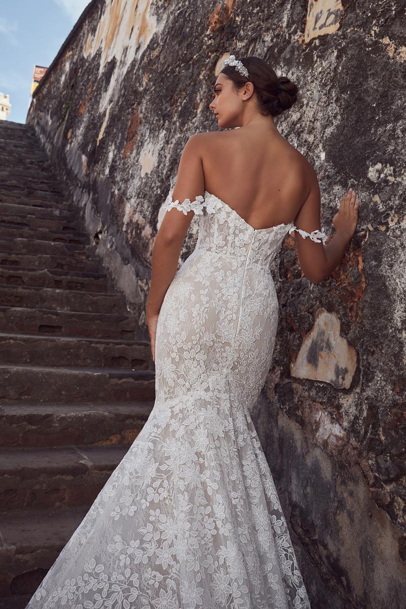 Calla Blanche Style Number 123121 - 4