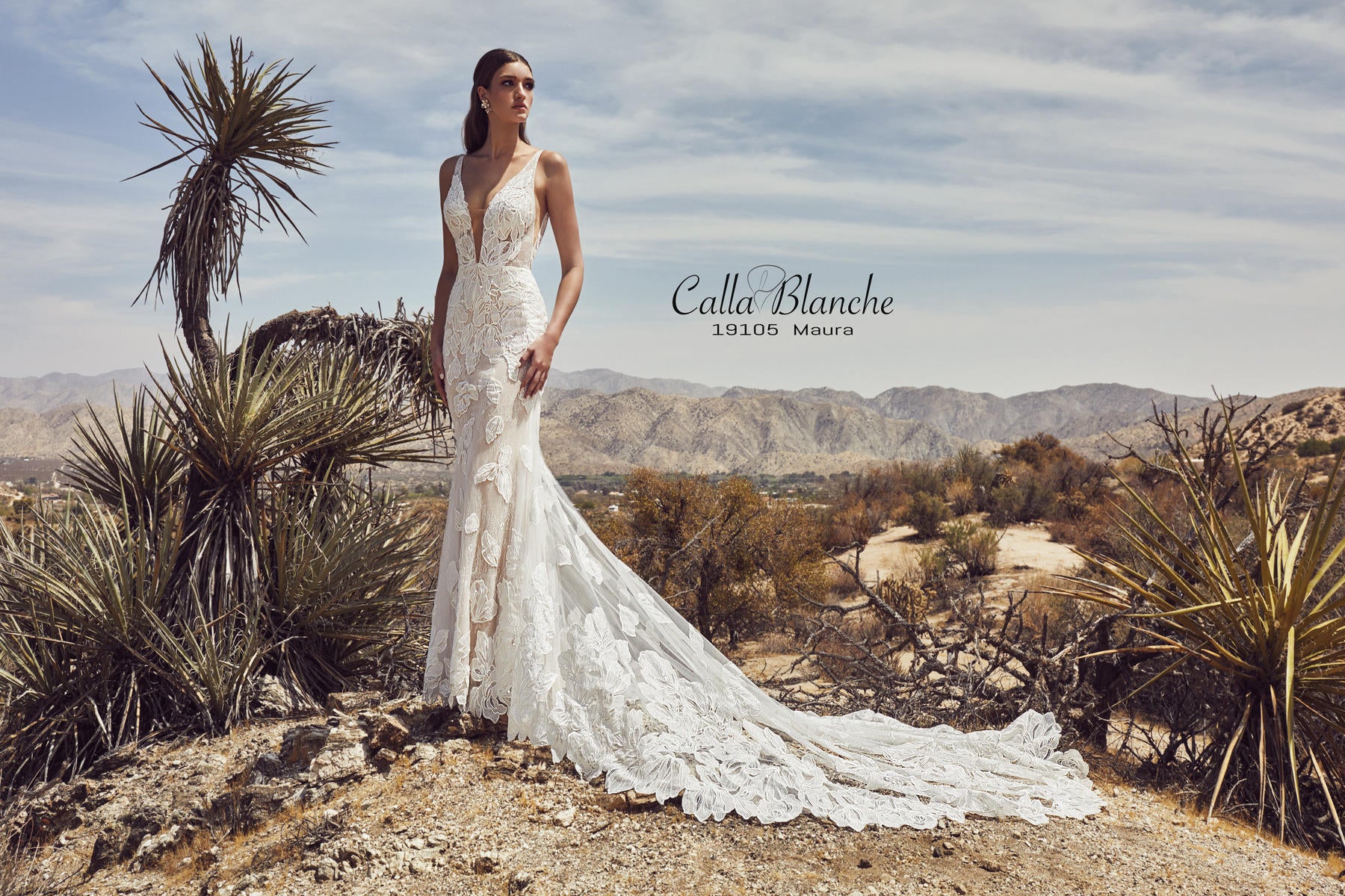 Calla Blanche Style Number 19105 - 3