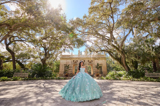 Princesa Style Number PR30133 - 5