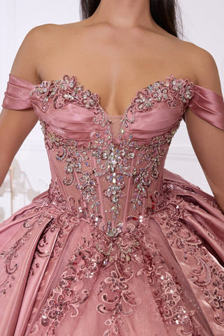 Cinderella Divine Style Number 15745 - 10
