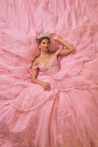 Cinderella Divine Style Number 15747 - 4