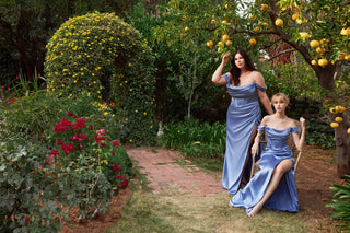 Cinderella Divine Style Number 7492C - 6