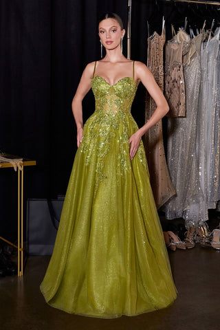 Cinderella Divine Style Number C177 - 2