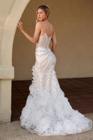 Cinderella Divine Style Number CC2488W - 2
