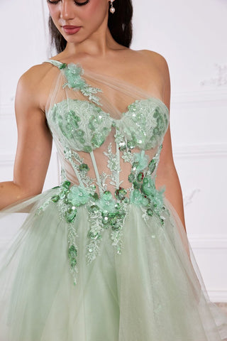 Cinderella Divine Style Number CD2431 - 9