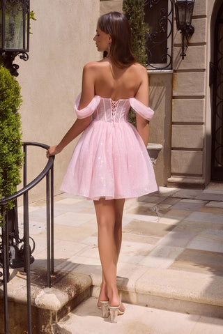 Cinderella Divine Style Number CJ420 - 2