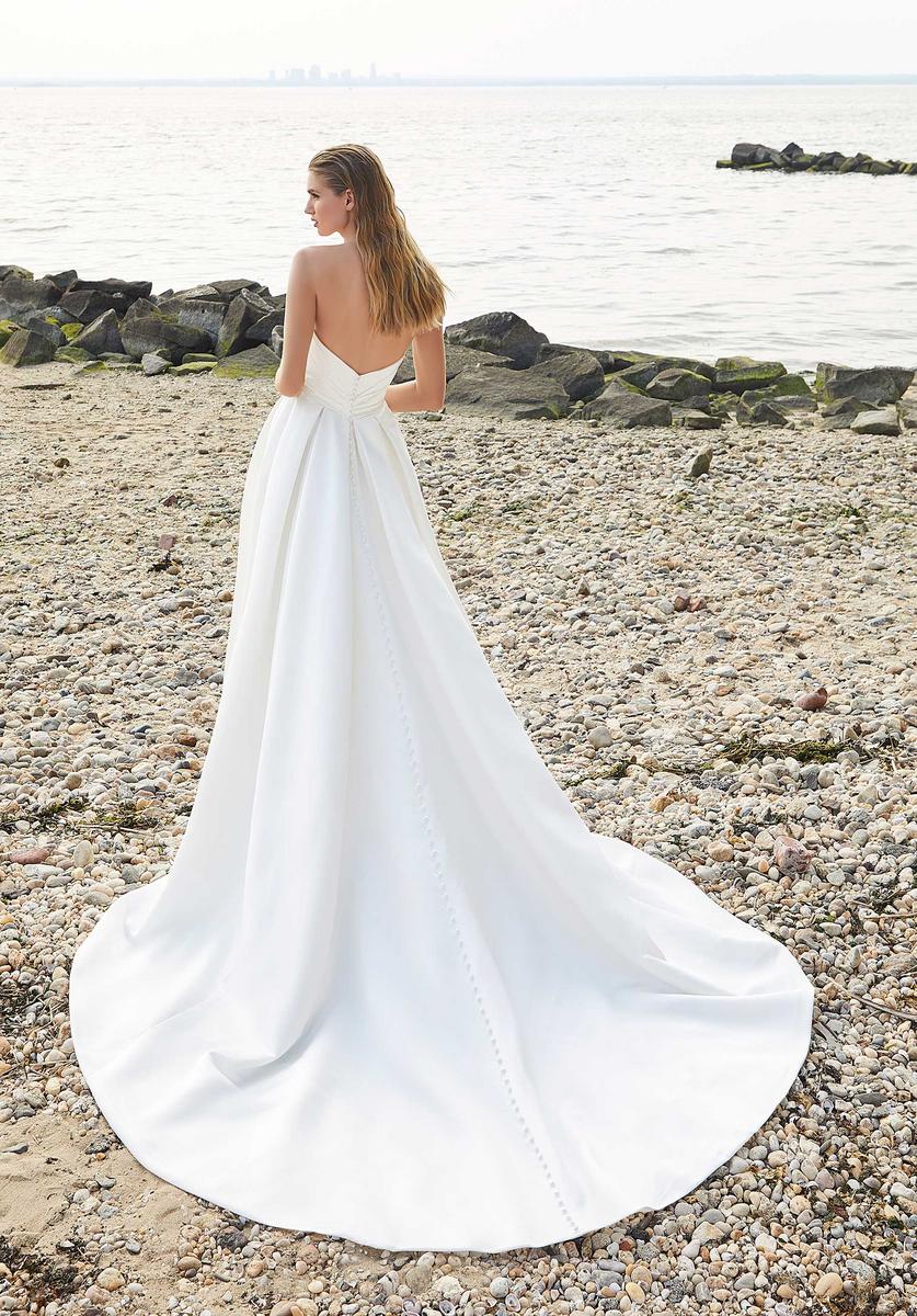 Amy and Eve Style Number 15049 - 2