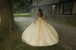 Valencia Style Number 60194 - 10