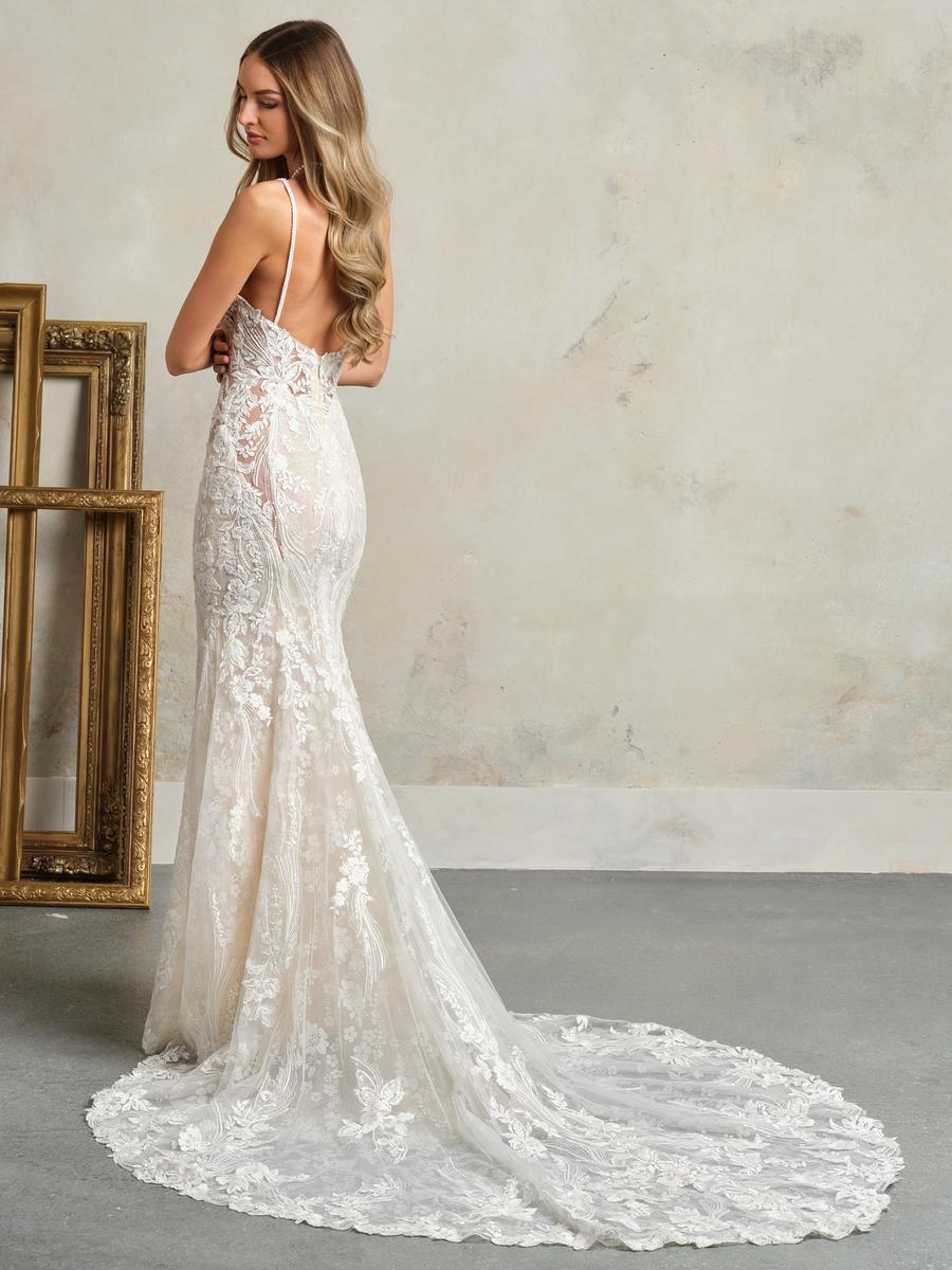 Maggie Bridal Collection Style Number 24MZ767A01 - 4