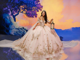 Princesa Style Number PR30208 - 4