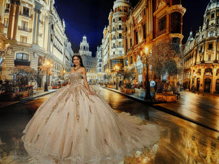 Princesa Style Number PR30224 - 3