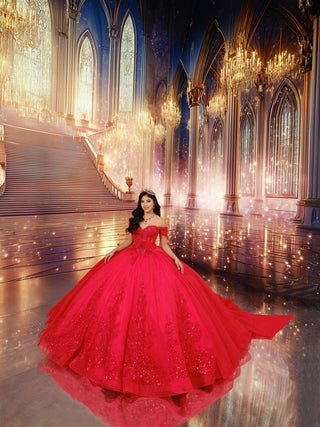 Princesa Style Number PR30241 - 11