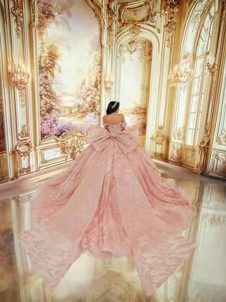 Princesa Style Number PR30245 - 2