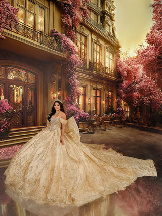 Princesa Style Number PR30245 - 13