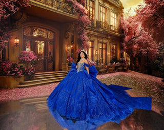 Princesa Style Number PR30245 - 5
