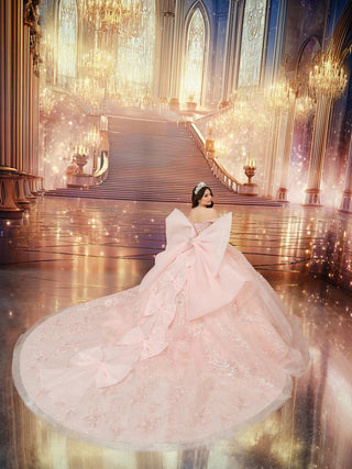 Princesa Style Number PR30254 - 2
