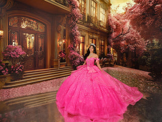 Princesa Style Number PR30254 - 8