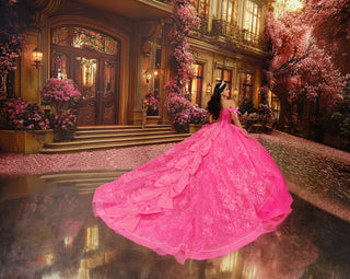 Princesa Style Number PR30254 - 10