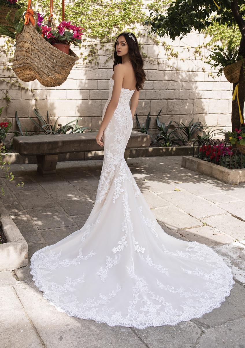 Pronovias Style Number AEGIR - 4