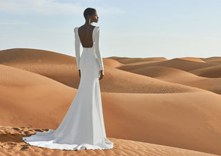 Pronovias Style Number ANTELOPE - 5