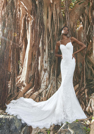 Pronovias Style Number FINGLAS - 1