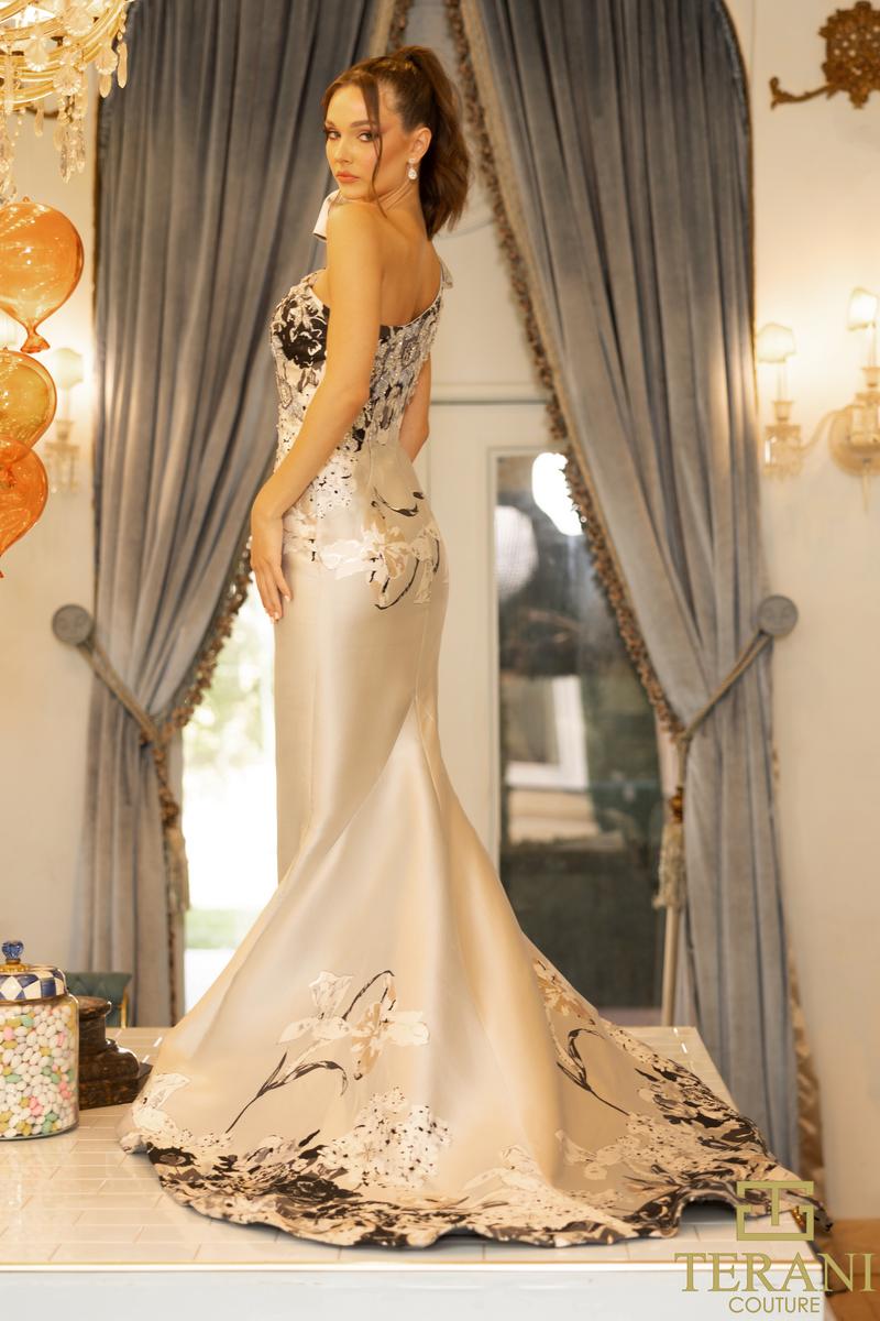 Terani Evening Style Number 242E3165 - 2
