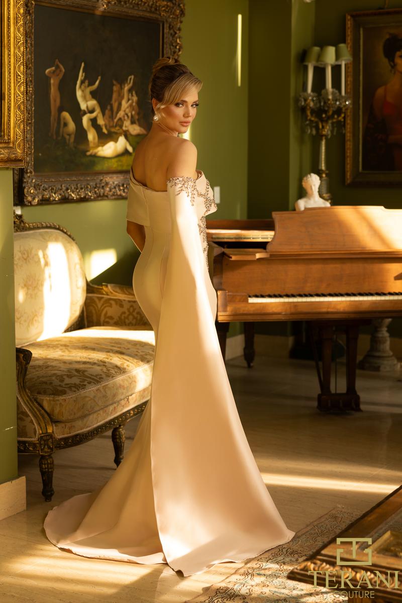 Terani - Mother of the Bride Style Number 242M3311 - 6