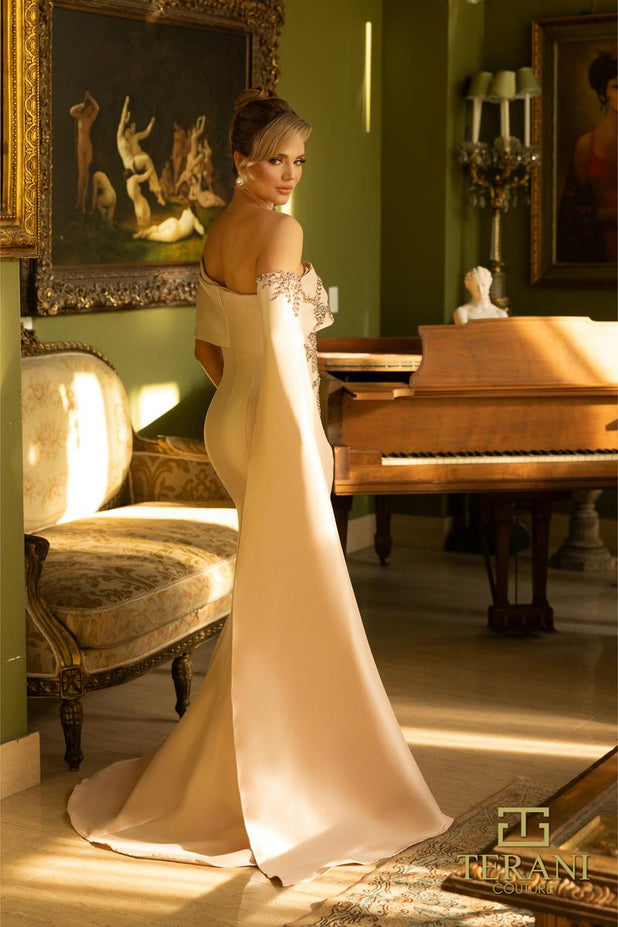 Mother of the Bride Style Number 242M3311 - 2