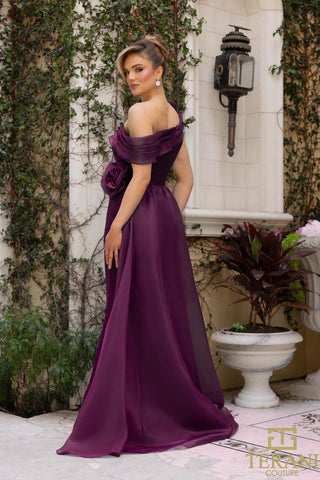 Terani - Mother of the Bride Style Number 242M3342 - 21