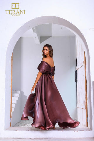 Terani - Mother of the Bride Style Number 251M4044 - 2