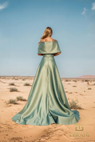 Terani - Mother of the Bride Style Number 251M4441 - 14
