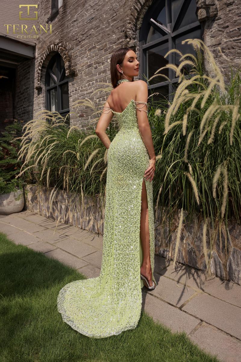 Terani Prom Style Number 251P4329 - 2