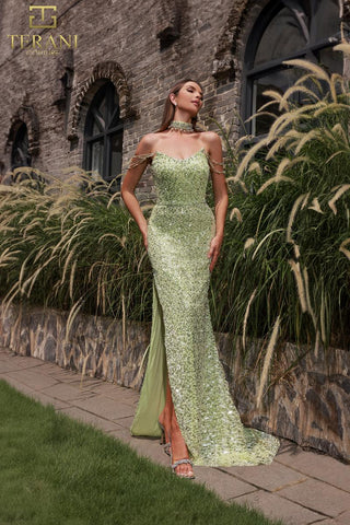 Terani Prom Style Number 251P4329 - 1