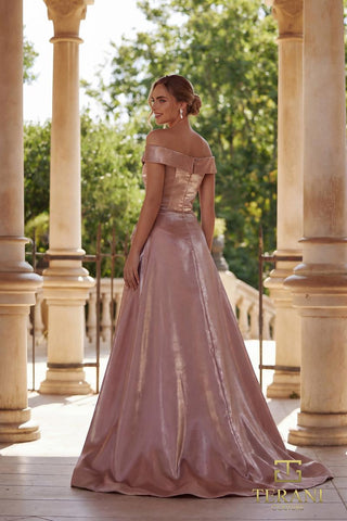 Terani - Mother of the Bride Style Number 261M6423 - 2