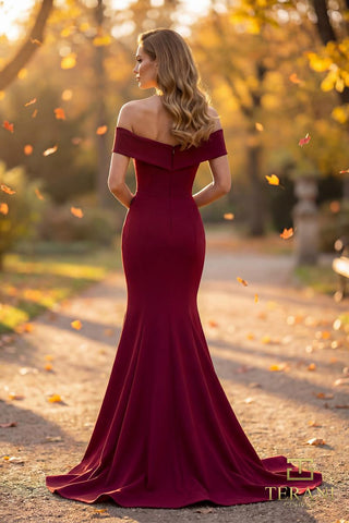 Terani - Mother of the Bride Style Number 262M7251 - 2