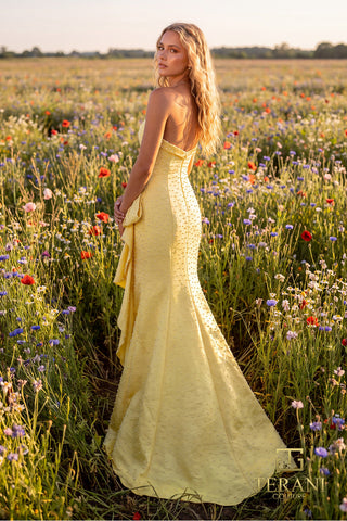 Terani - Prom Style Number 271P8055 - 8