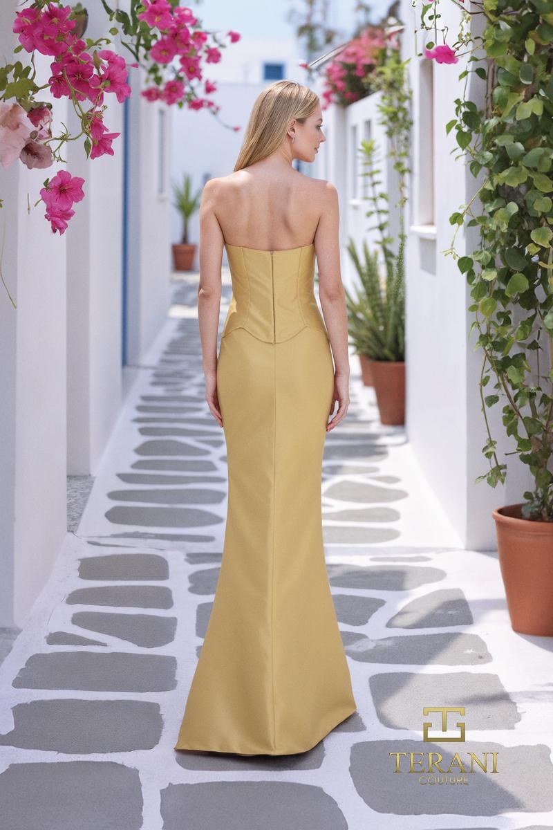 Terani Evening Style Number 261E6292 - 2
