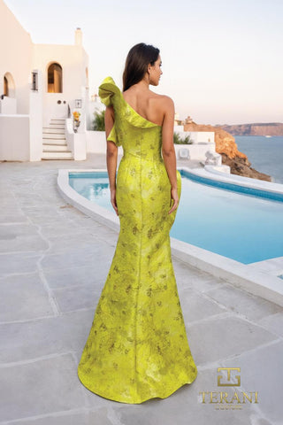 Terani Evening Style Number 261E6678 - 4