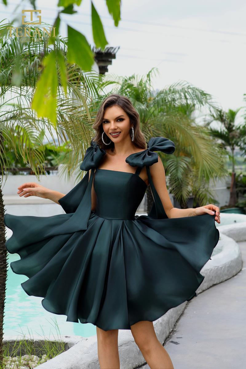 Terani Prom Style Number 251P4047 - 6
