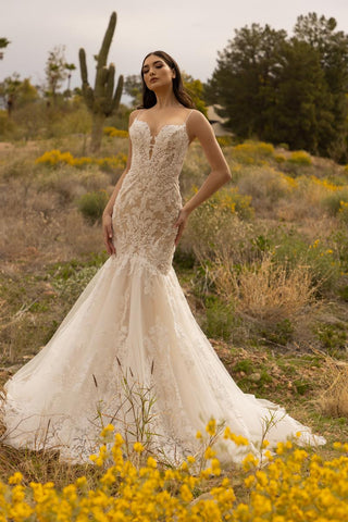 Amore Style Number BG-101058 - 1