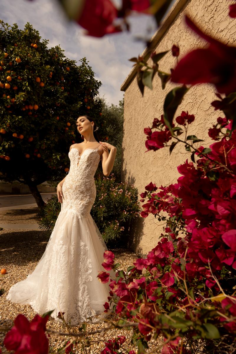 Amore Style Number BG-101058 - 12