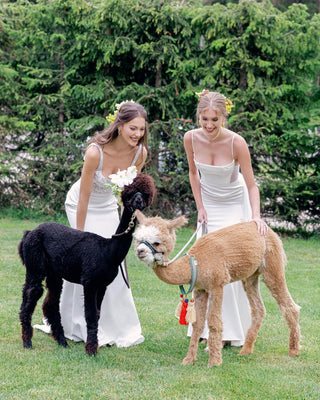 Willowby Style Number 50401 - 7